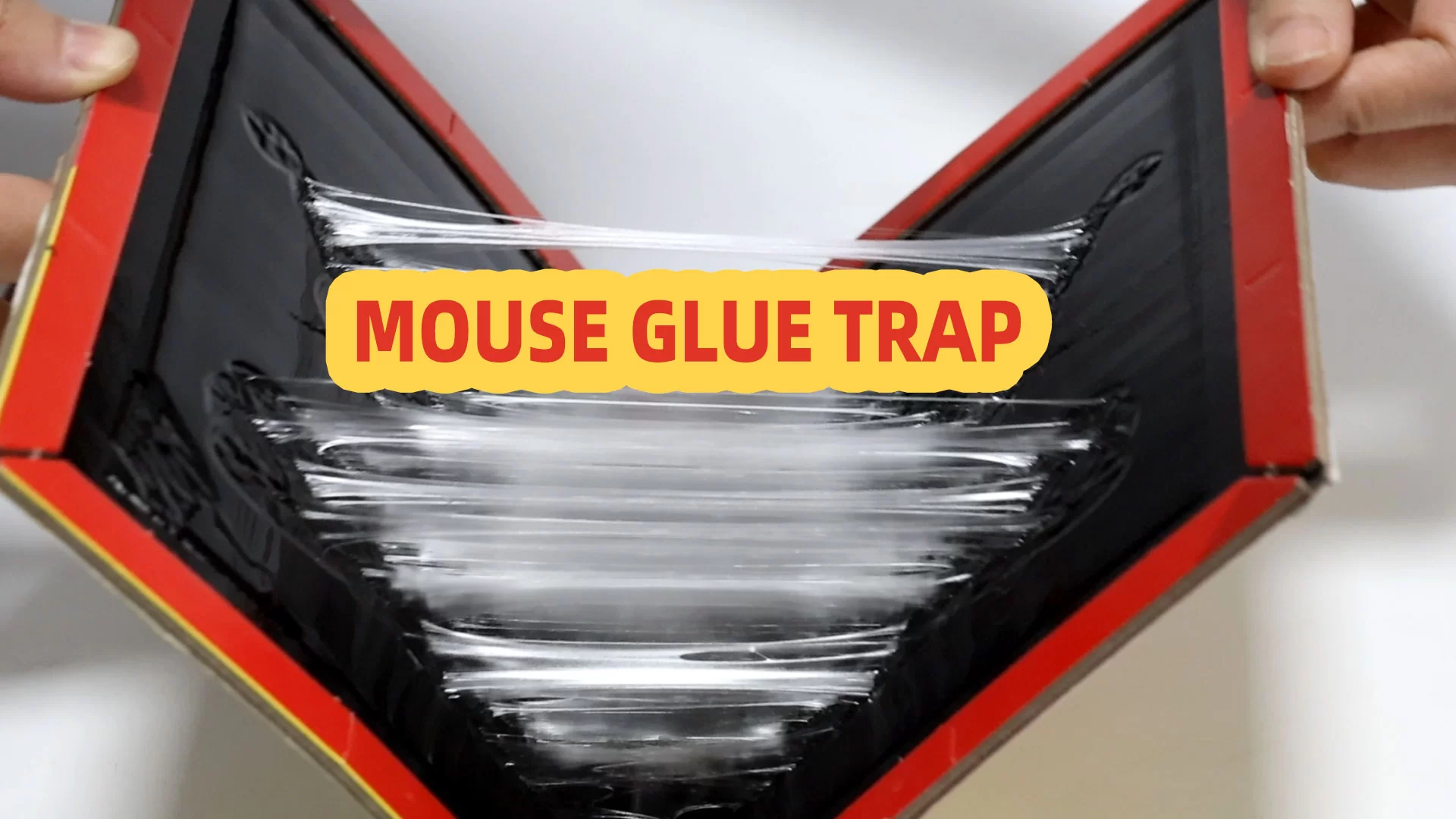 Cum să utilizați eficient capcanele de lipici pentru mouse