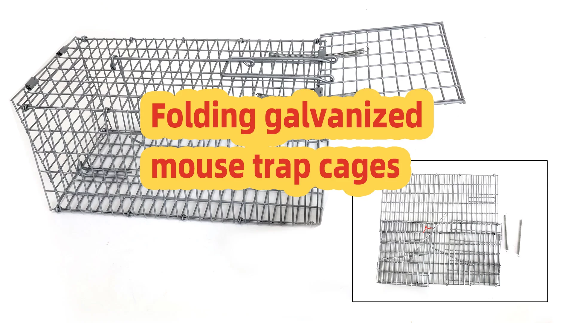Ghid de configurare a capcanei mouse-ului galvanizat pliabil: Tutorial de cușcă durabilă și reutilizabilă
