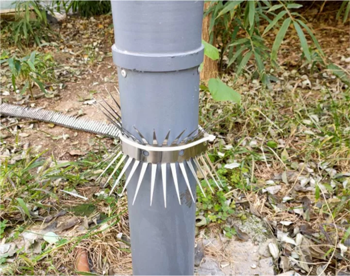 Anti-mouse spikes: bariere fizice pentru prevenirea eco-conștientă