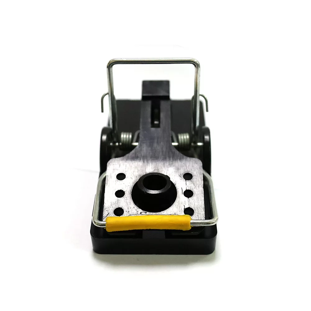 Capcane eficiente pentru mouse-ul casei